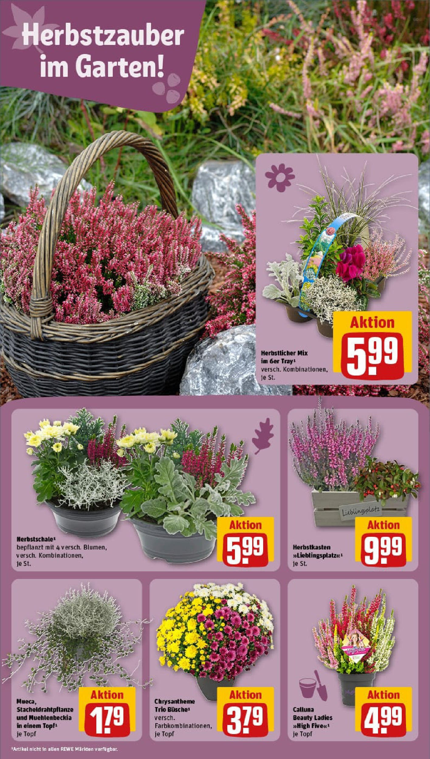 REWE Prospekt ab 14.09.2025 zum Blättern » Angebote | Seite: 8