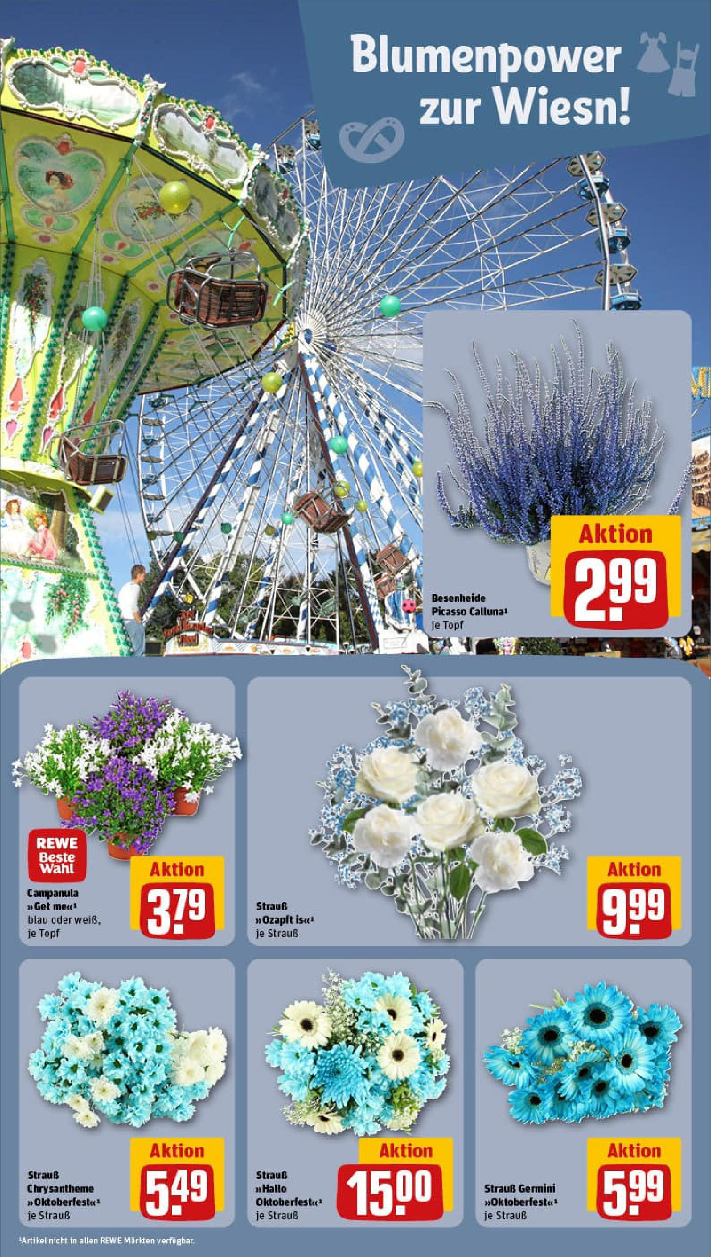 REWE Prospekt ab 14.09.2025 zum Blättern » Angebote | Seite: 9