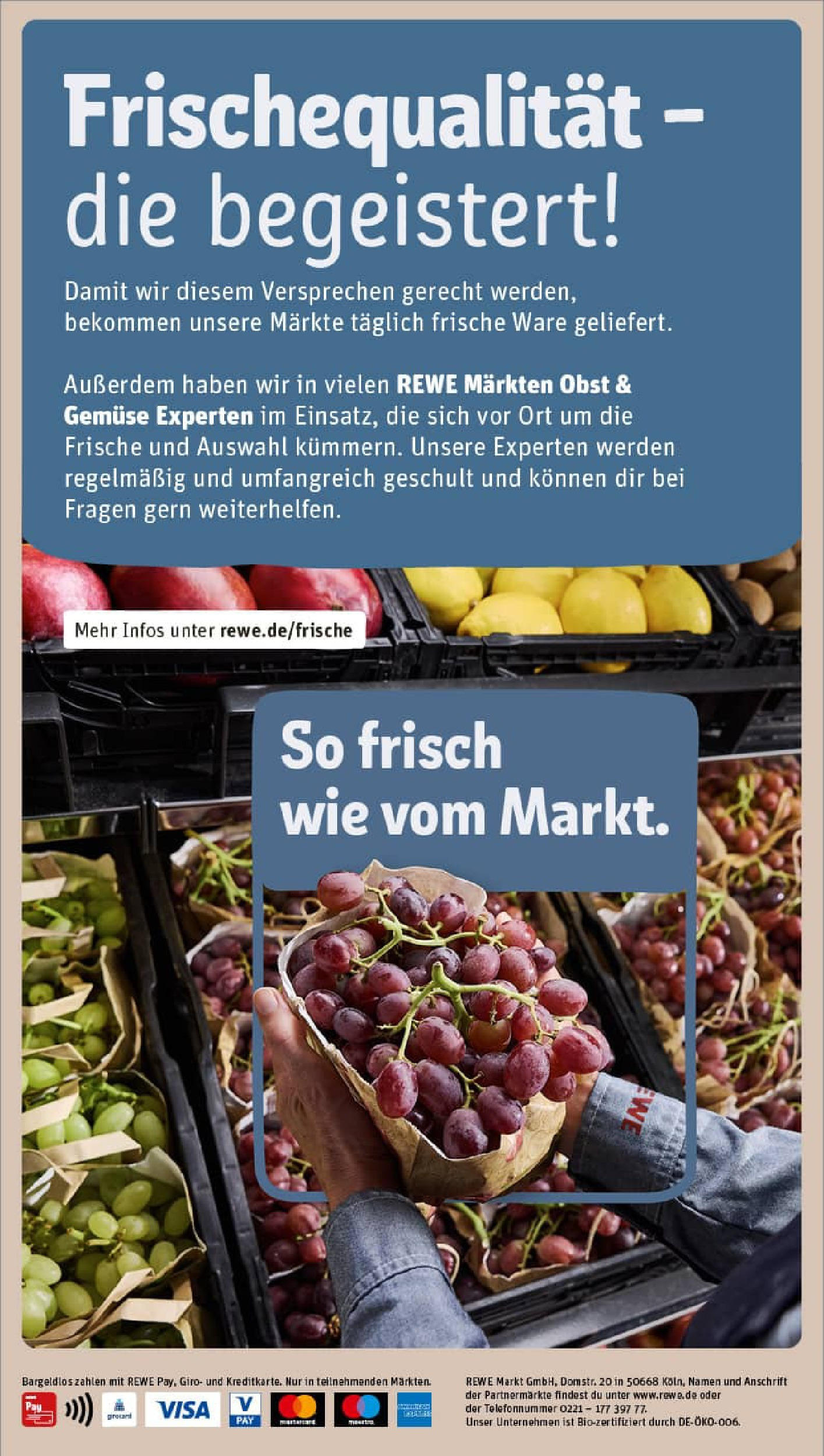 REWE Prospekt ab 14.09.2025 zum Blättern » Angebote | Seite: 26
