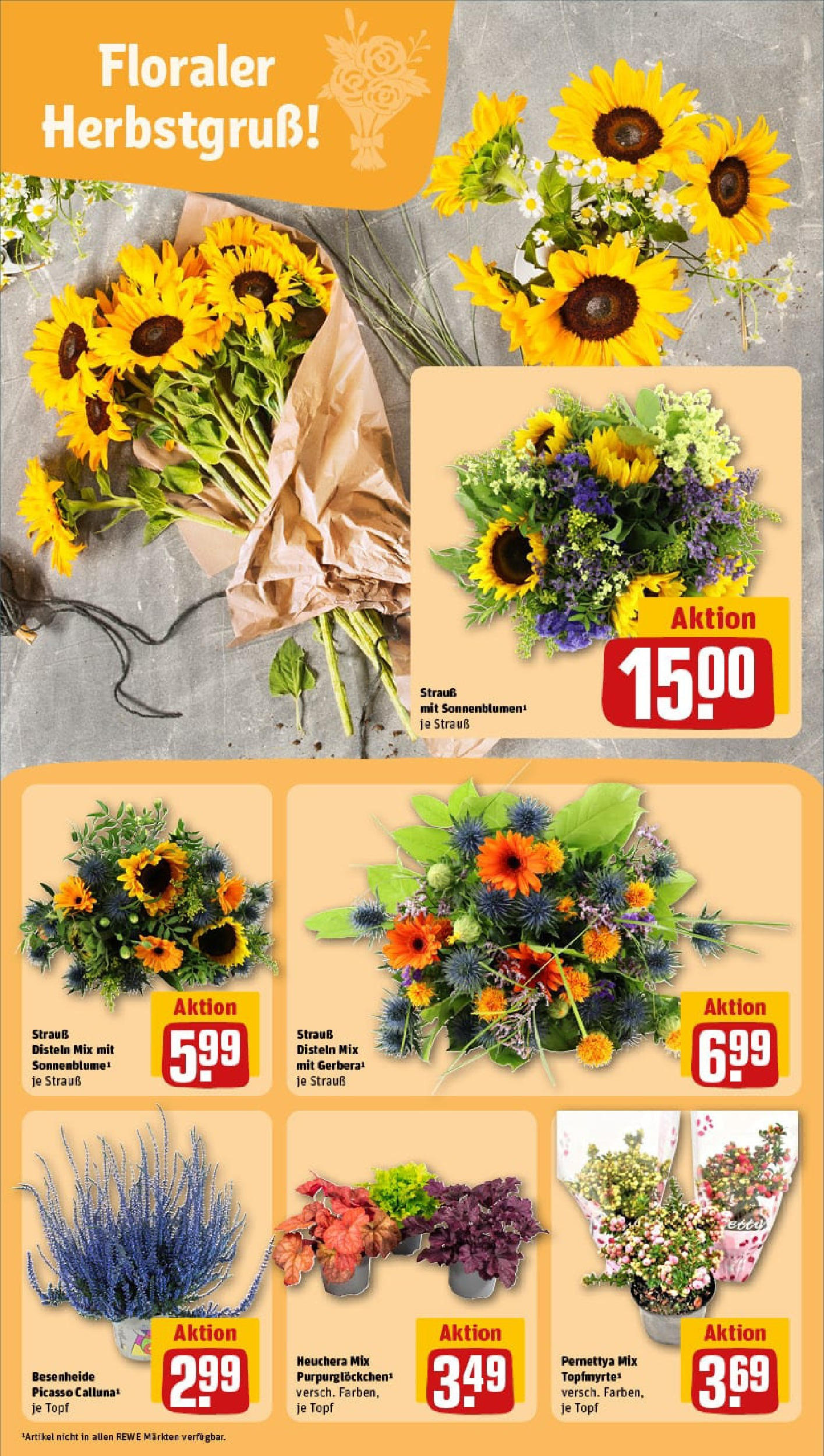 REWE Prospekt ab 14.09.2025 zum Blättern » Angebote | Seite: 9 | Produkte: Coral REWE Prospekt ab 14.09.2025 zum Blättern » Angebote | Seite: 9 | Produkte: Coral