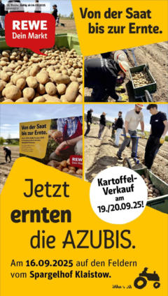 Rewe prospekt Berlin	 ab 14.09.2025 gültig