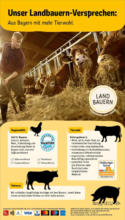 Rewe: Wochenangebote