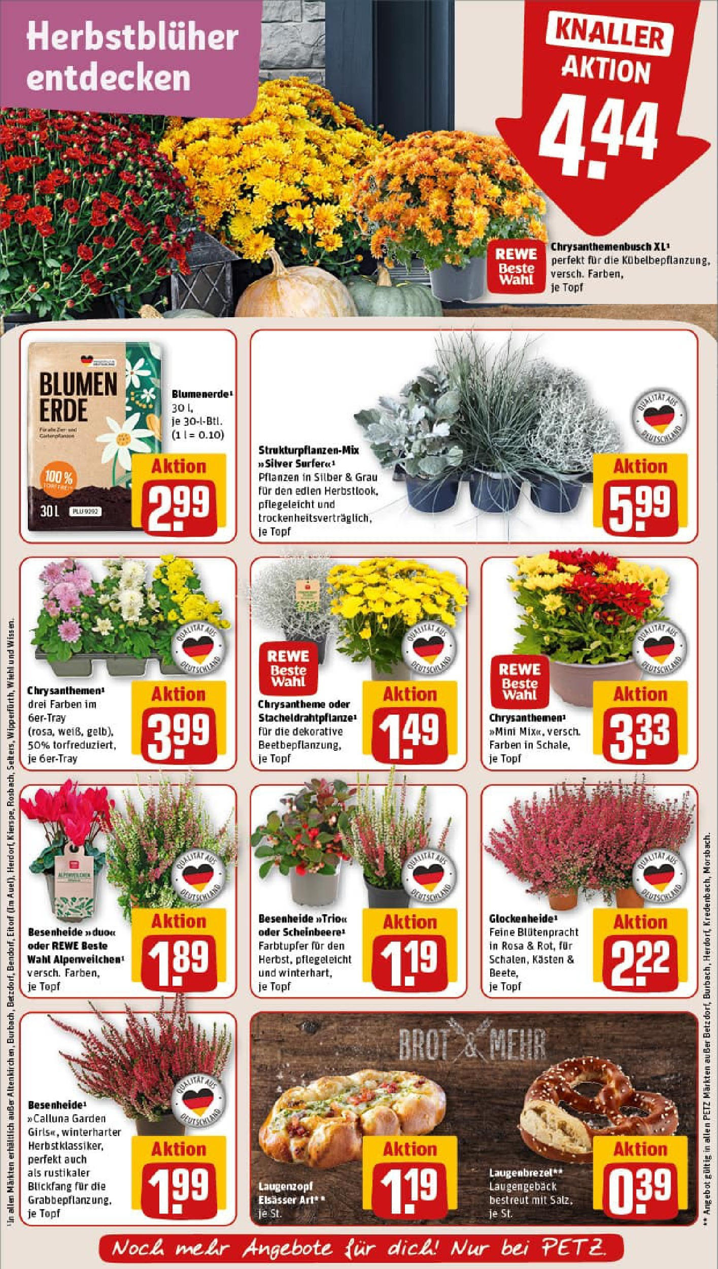 REWE Prospekt ab 14.09.2025 zum Blättern » Angebote | Seite: 7