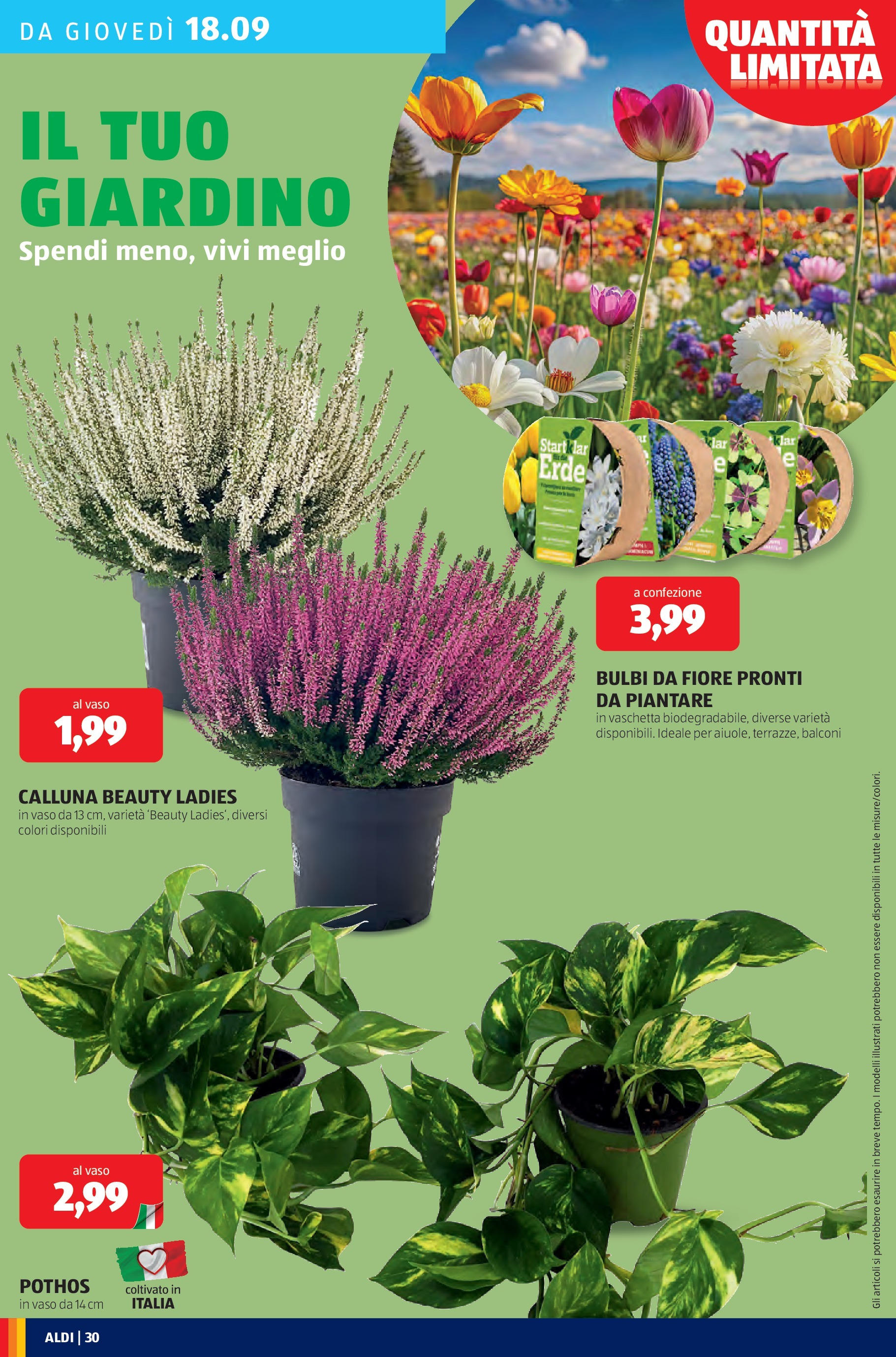 Nuovo Aldi - SOTTOCOSTO dal 14/09/2025 > offerte anteprima 🛍️ | Pagina: 30 | Prodotti: Vaso