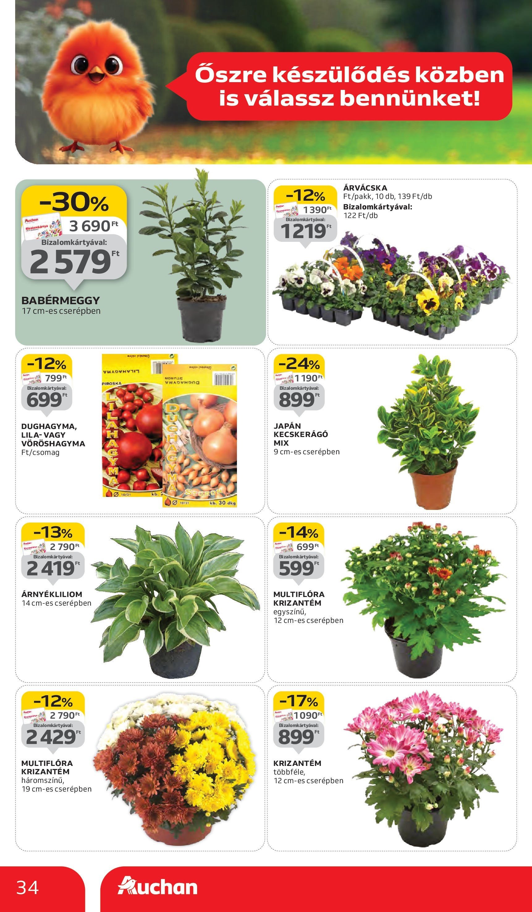 Auchan - Auchan újság érvényessége 09.17.-ig - 2025.09.10. -tól/töl > akció, lapozható szórólap 🛍️ | Oldal: 34 | Termékek: Vöröshagyma, Árvácska