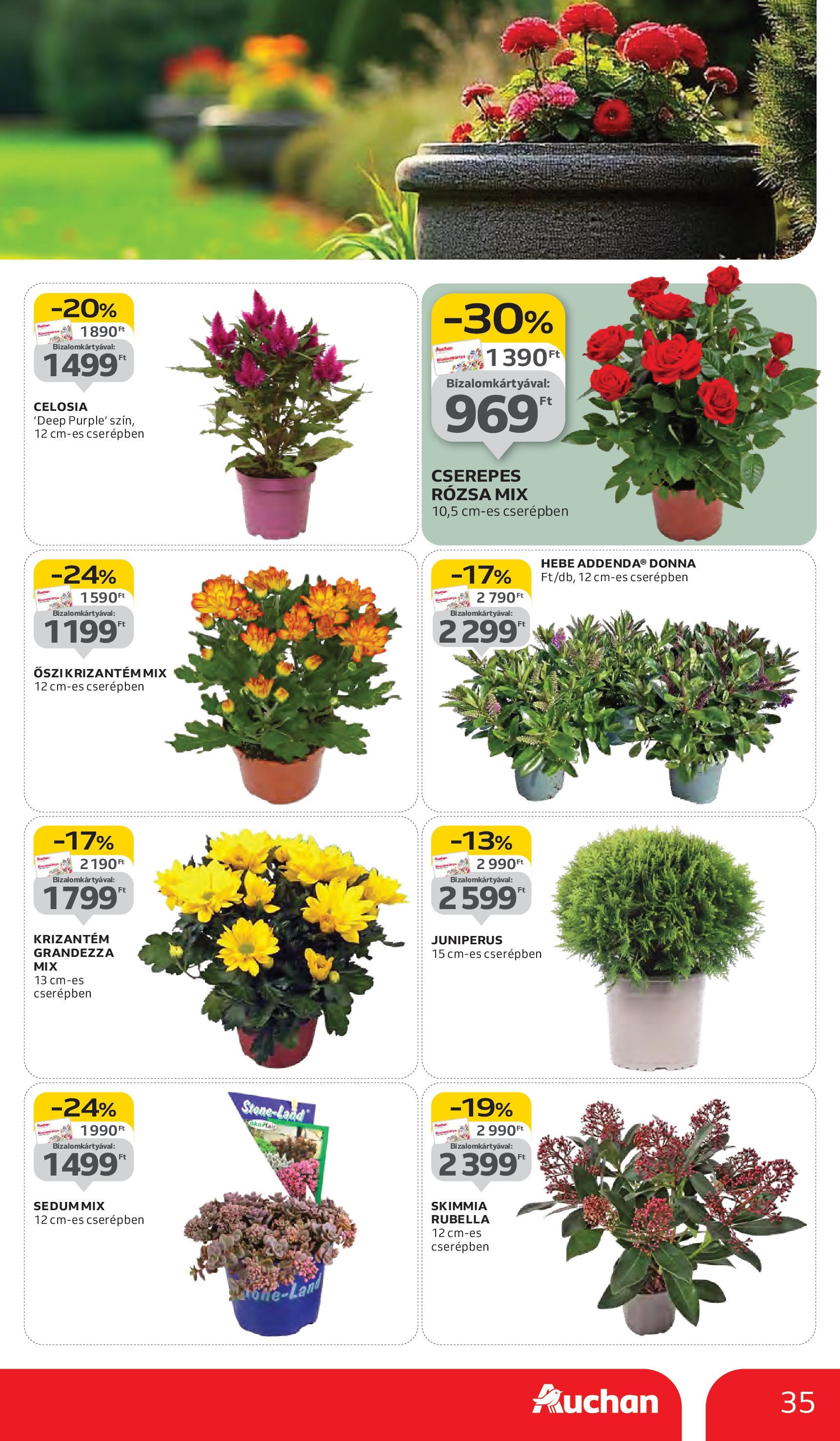 Auchan - Auchan újság érvényessége 09.17.-ig - 2025.09.10. -tól/töl > akció, lapozható szórólap 🛍️ | Oldal: 35