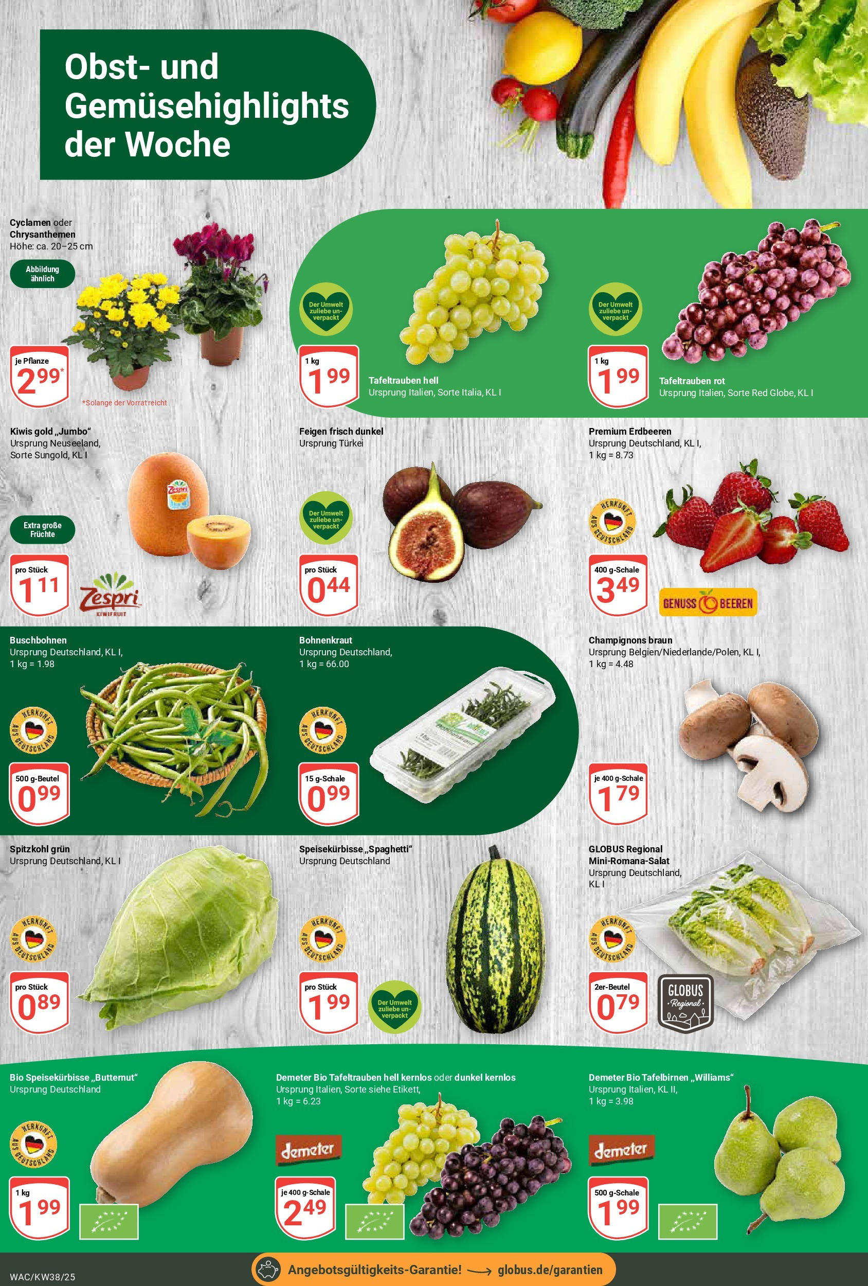 Globus prospekt Markkleeberg	 (ab 14.09.2025) » Angebote online | Seite: 6 | Produkte: Champignons, Obst, Erdbeeren