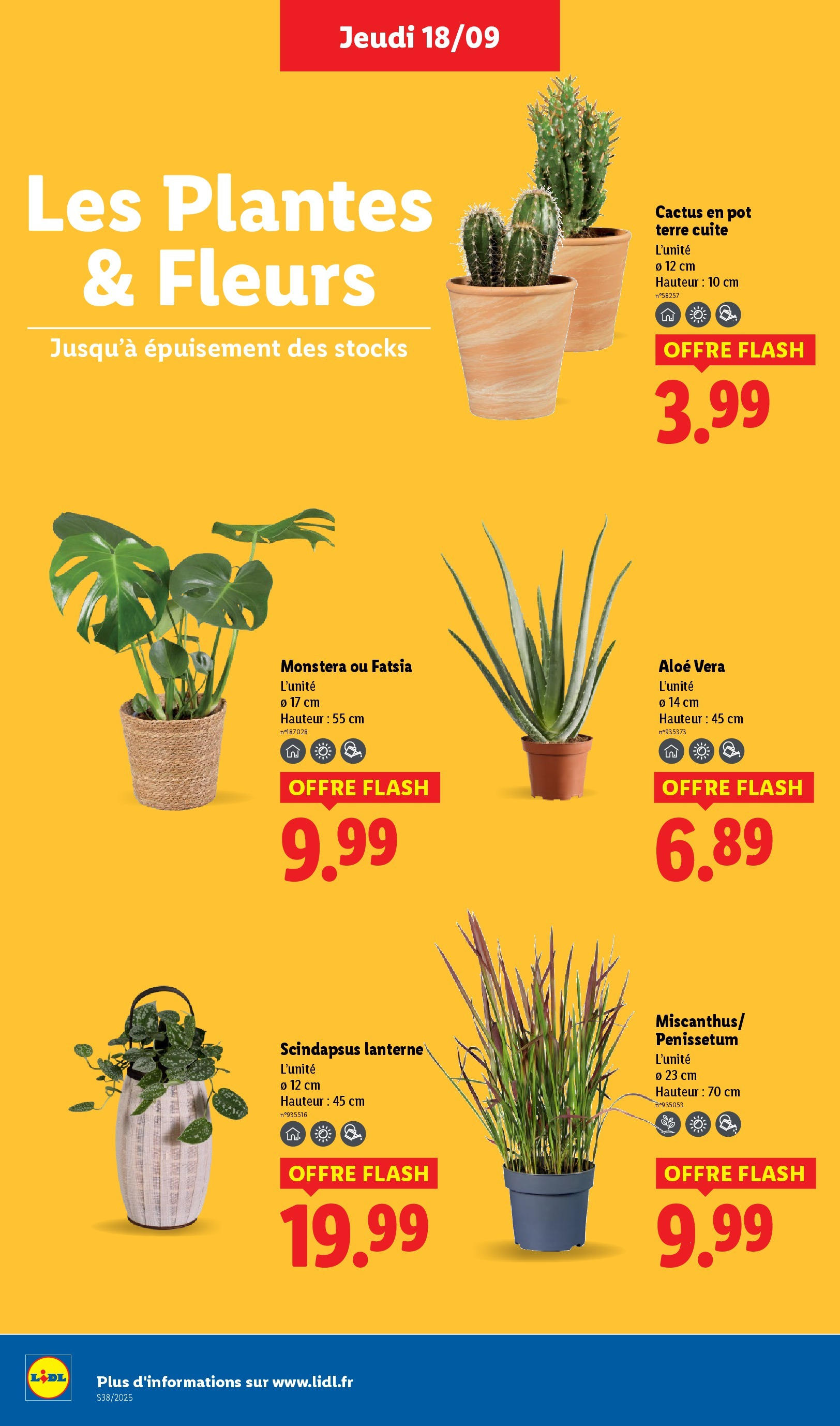 Catalogue LIDL du 17/09/2025 | Promo prospectus en ligne | Page: 30