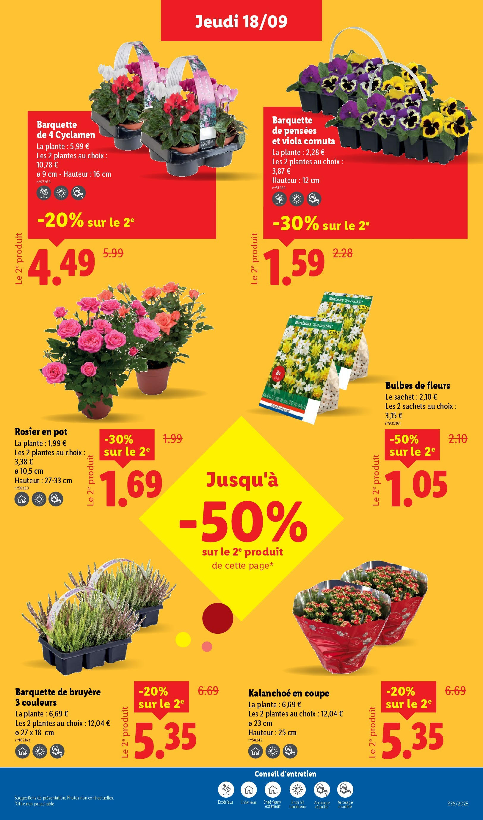 Catalogue LIDL du 17/09/2025 | Promo prospectus en ligne | Page: 31