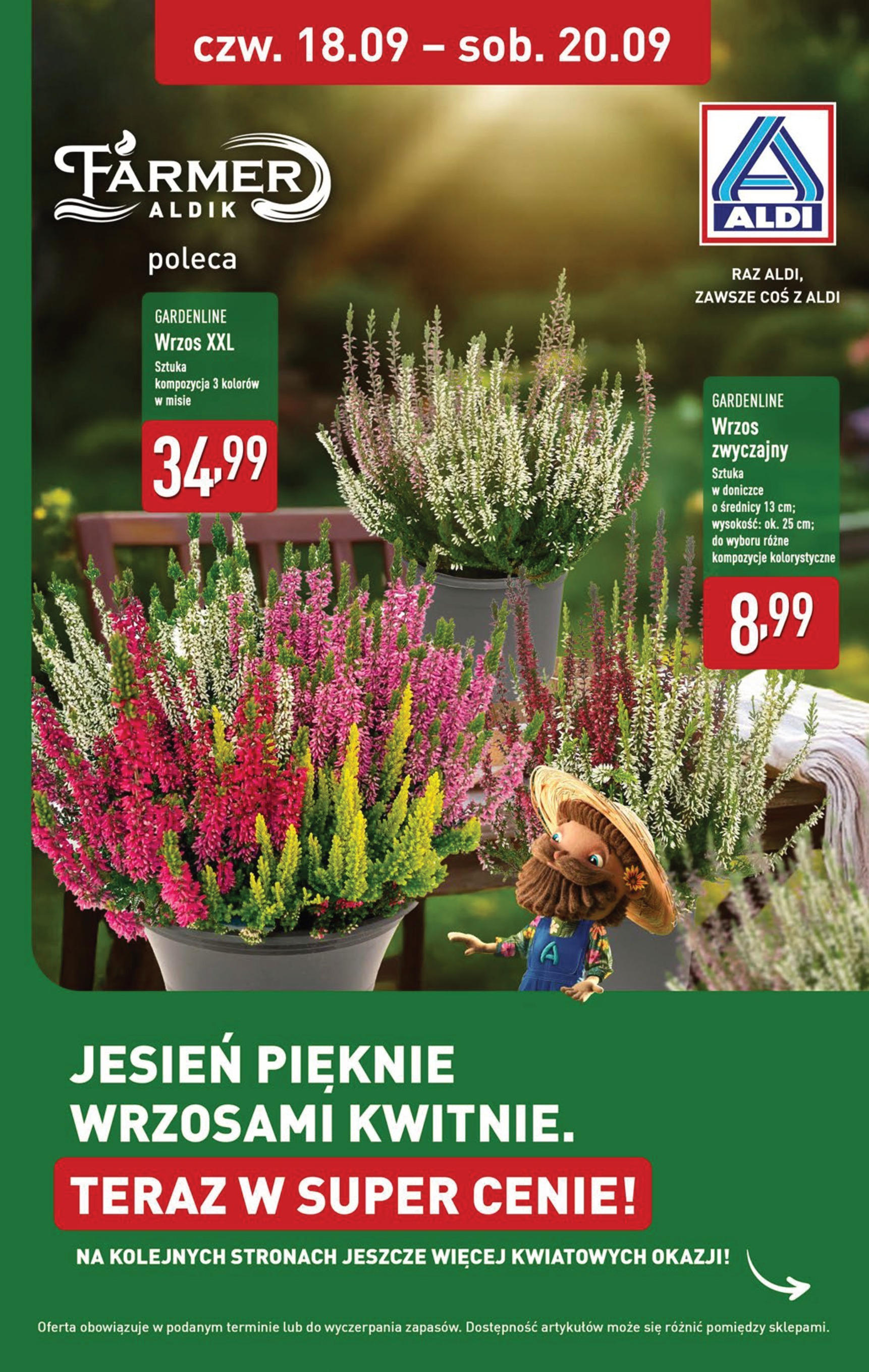 Aldi - Super tydzień w ALDI od 15.09 od 14.09.2025 | Nowa PDF gazetka | Strona: 33 Aldi - Super tydzień w ALDI od 15.09 od 14.09.2025 - Ulotka PDF, promocje | Strona: 33
