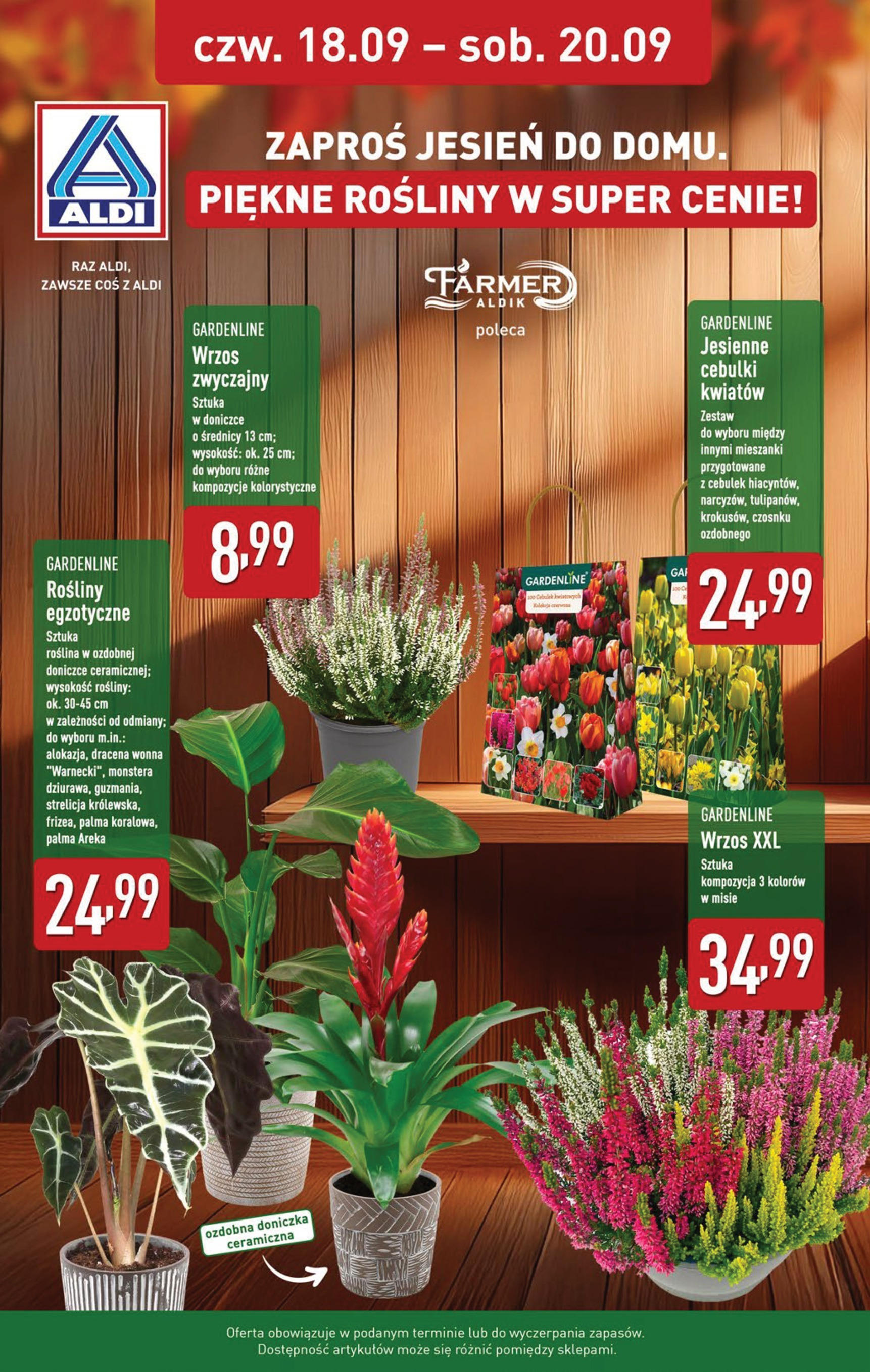 Aldi - Super tydzień w ALDI od 15.09 od 14.09.2025 | Nowa PDF gazetka | Strona: 34 Aldi - Super tydzień w ALDI od 15.09 od 14.09.2025 - Ulotka PDF, promocje | Strona: 34