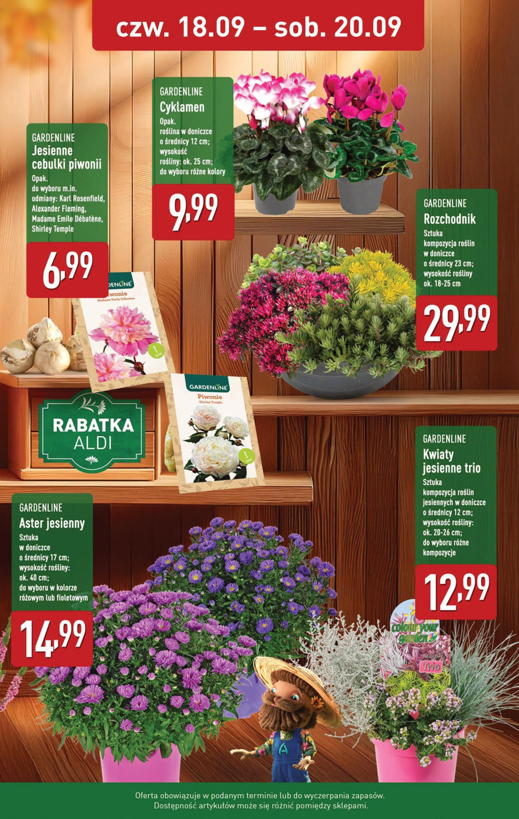 Aldi - Super tydzień w ALDI od 15.09 od 14.09.2025 | Nowa PDF gazetka | Strona: 35 Aldi - Super tydzień w ALDI od 15.09 od 14.09.2025 - Ulotka PDF, promocje | Strona: 35