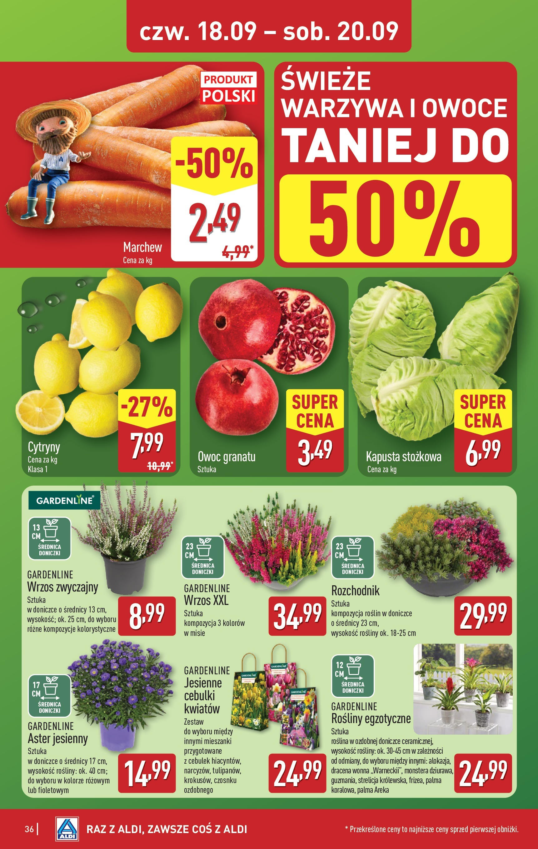 Aldi - Super tydzień w ALDI od 15.09 od 14.09.2025 | Nowa PDF gazetka | Strona: 36 Aldi - Super tydzień w ALDI od 15.09 od 14.09.2025 - Ulotka PDF, promocje | Strona: 36