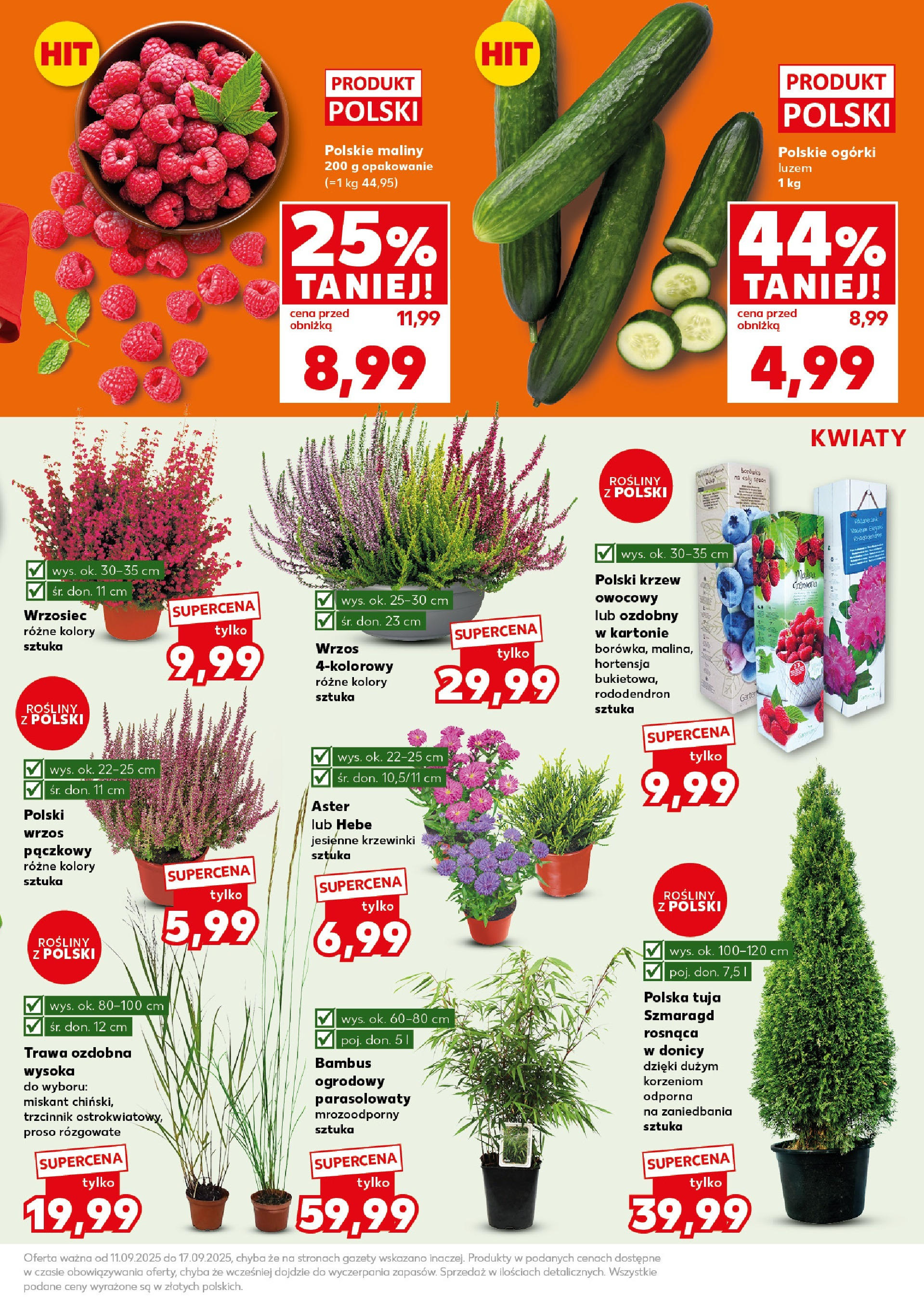 Kaufland - Kaufland Super Sobota ważne do 13.09 od 12.09.2025 - od jutra PDF | Strona: 5 | Produkty: Wrzos, Rosliny, Ogórki, Kwiaty