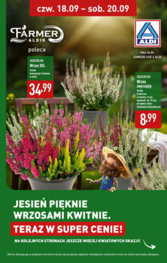 Pogląd oferty "Aldi - Wrzosy w ALDI" - ważna od 17.09.2025