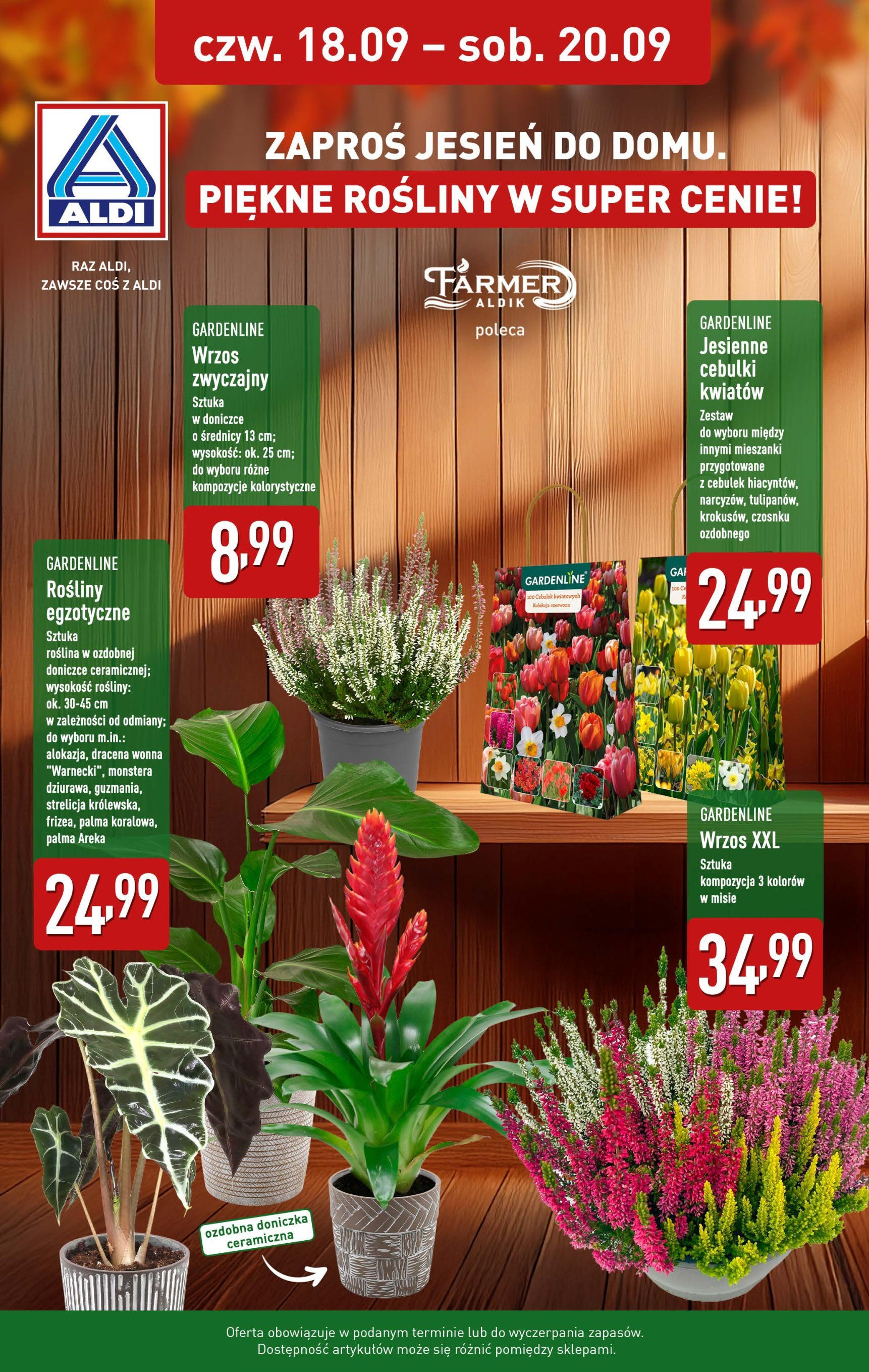 Aldi - Wrzosy w ALDI od 17.09.2025 | Nowa PDF gazetka | Strona: 2 Aldi - Wrzosy w ALDI od 17.09.2025 - Ulotka PDF, promocje | Strona: 2