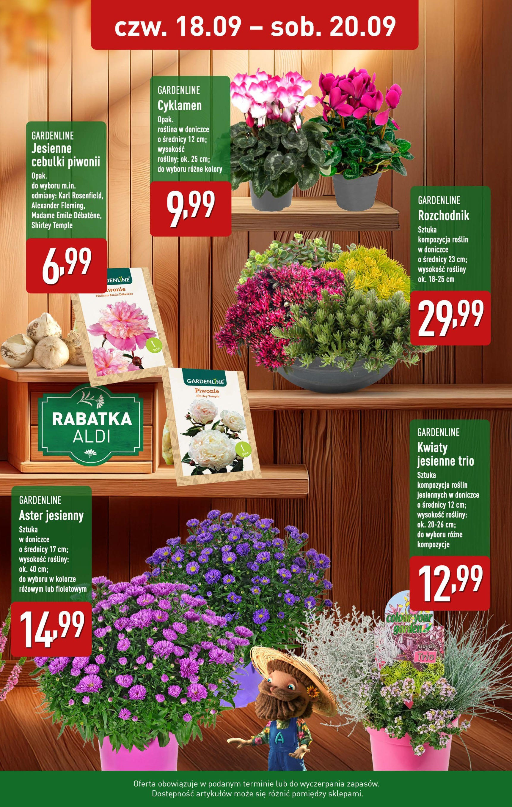 Aldi - Wrzosy w ALDI od 17.09.2025 | Nowa PDF gazetka | Strona: 3 Aldi - Wrzosy w ALDI od 17.09.2025 - Ulotka PDF, promocje | Strona: 3