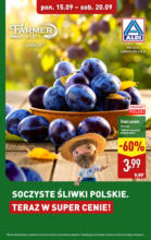 Soczyste śliwki w ALDI Aldi – do 20.09.2025