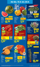 Lidl Lidl: Wochenangebote - ab 15.09.2025