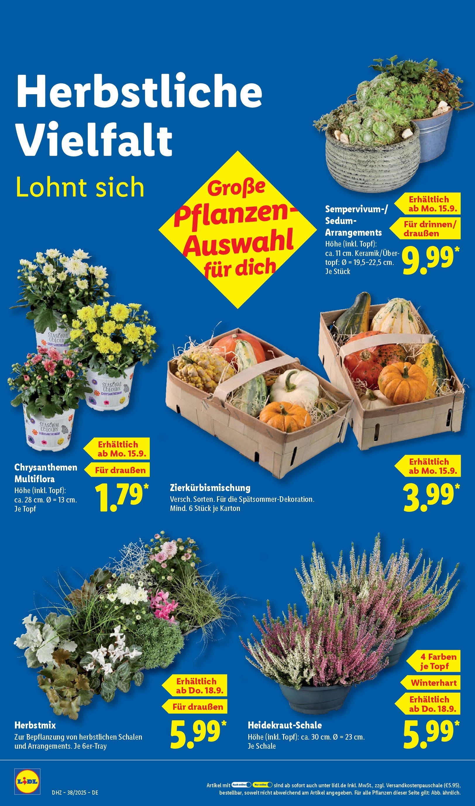 Lidl: Wochenangebote von 14. September bis 20. September 2025 - Prospekt seite 26