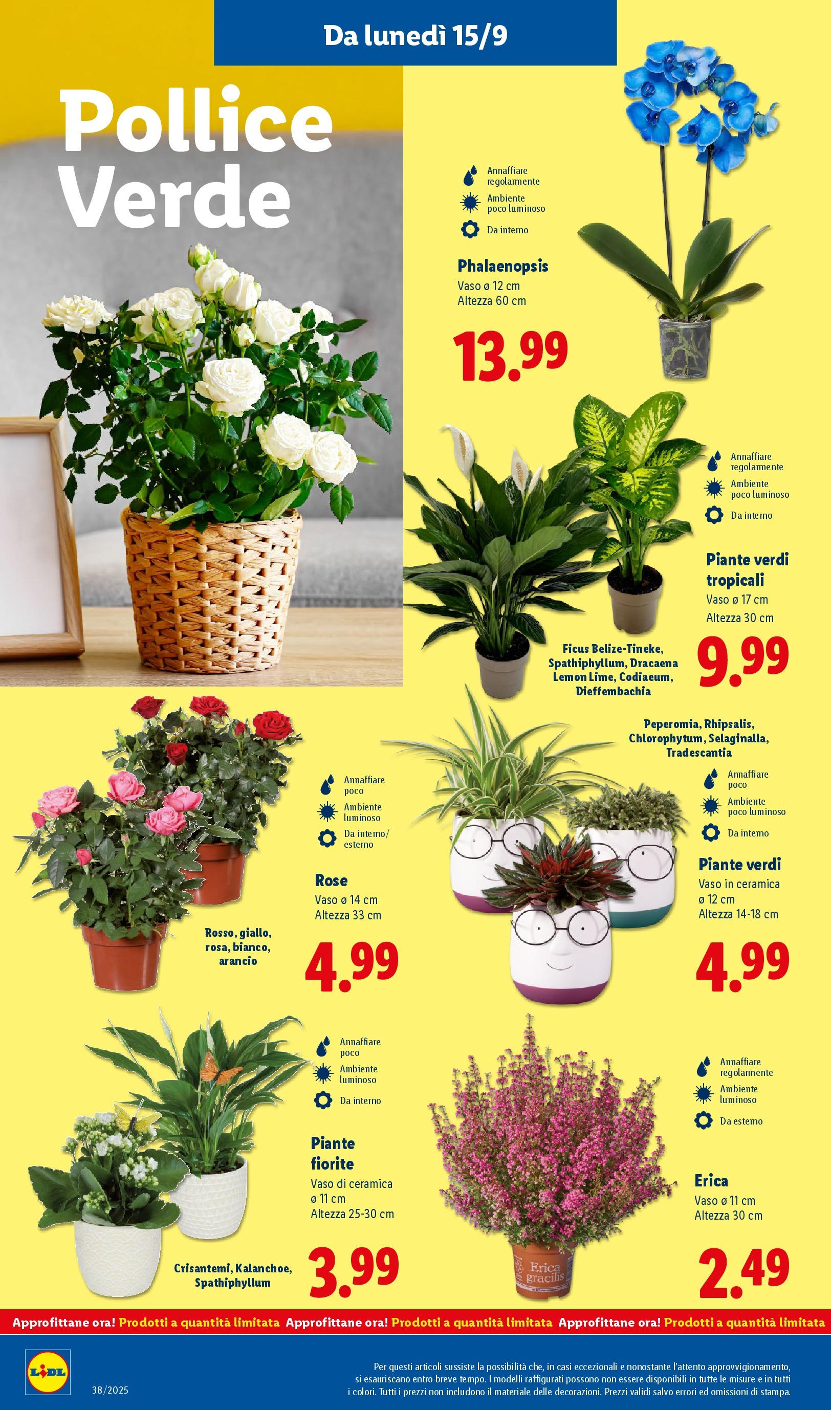 LIDL nuovo volantino dal 14/09/2025 - in anteprima⏳ | Pagina: 46 | Prodotti: Vaso LIDL volantino della prossima settimana dal 14/09/2025 📣 | Pagina: 46 | Prodotti: Vaso