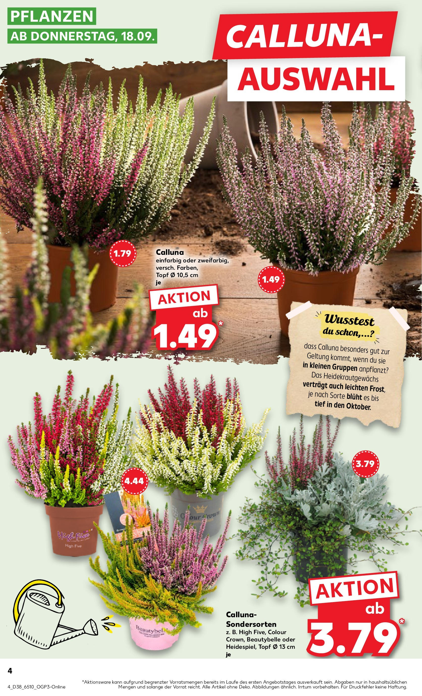 Prospekt Kaufland ab 17.09.2025 » Angebote Online zum Blättern | Seite: 4