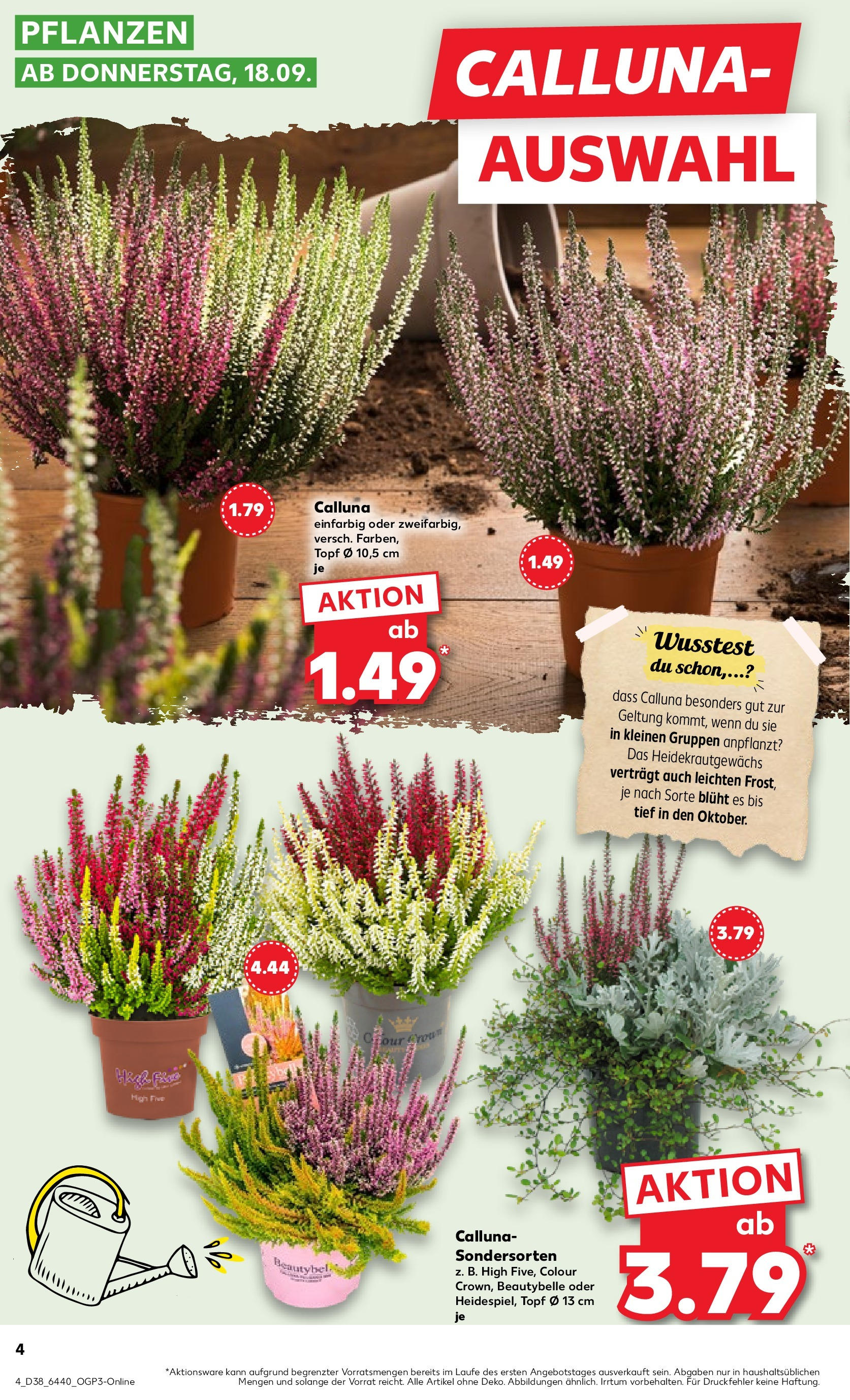 Prospekt Kaufland ab 17.09.2025 » Angebote Online zum Blättern | Seite: 8