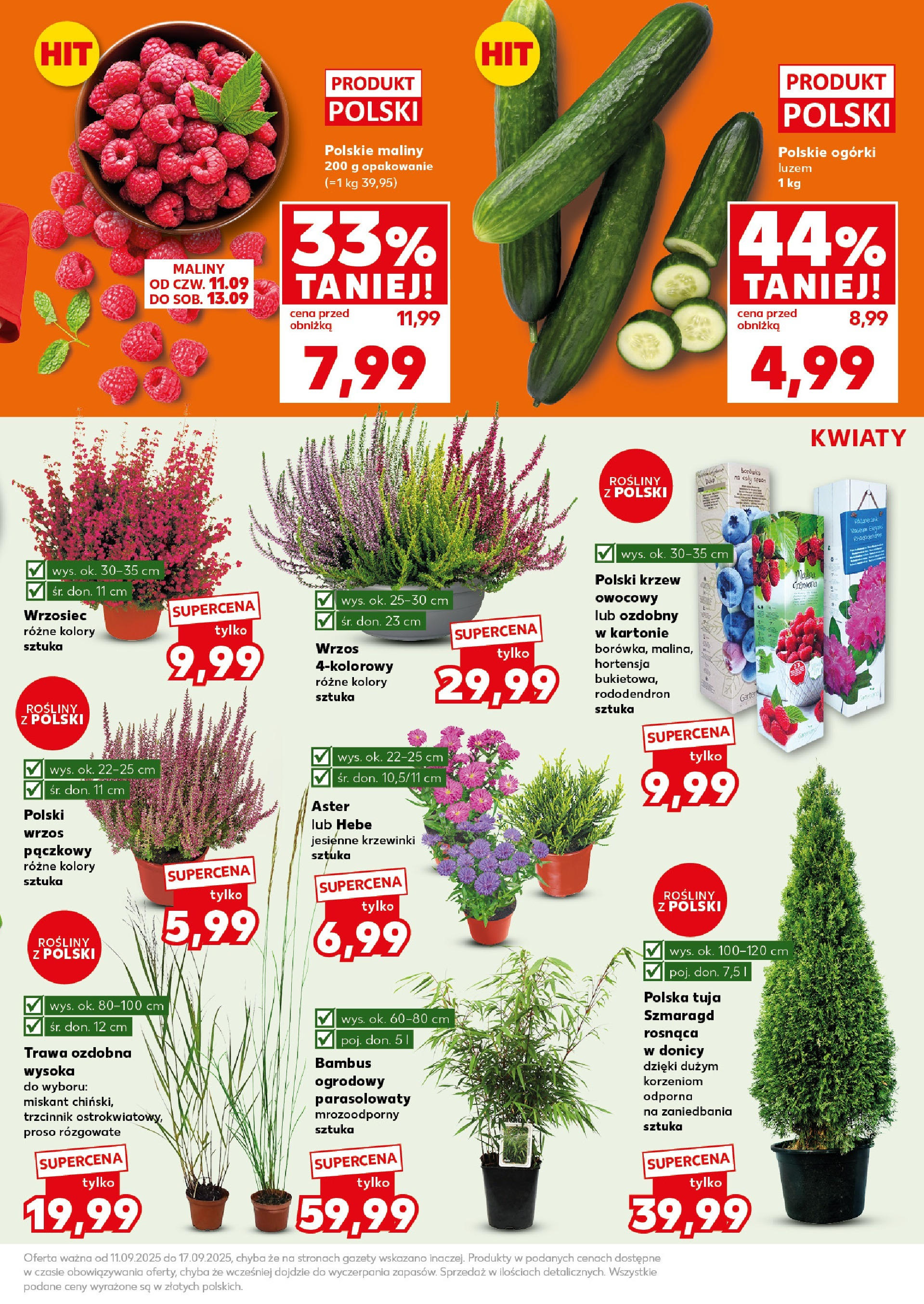 Kaufland gazetka - Super Sobota od 13.09.2025 - od jutra PDF | Strona: 5 | Produkty: Maliny, Wrzos, Ogórki, Kwiaty