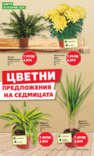 Kaufland хипермаркет Спестявай с мега марки в Kaufland с предложения с валидност до 14.09.2025 - от 15-09-25
