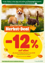 Fressnapf Fressnapf Angebote 18.09. bis 20.09. - ab 18.09.2025