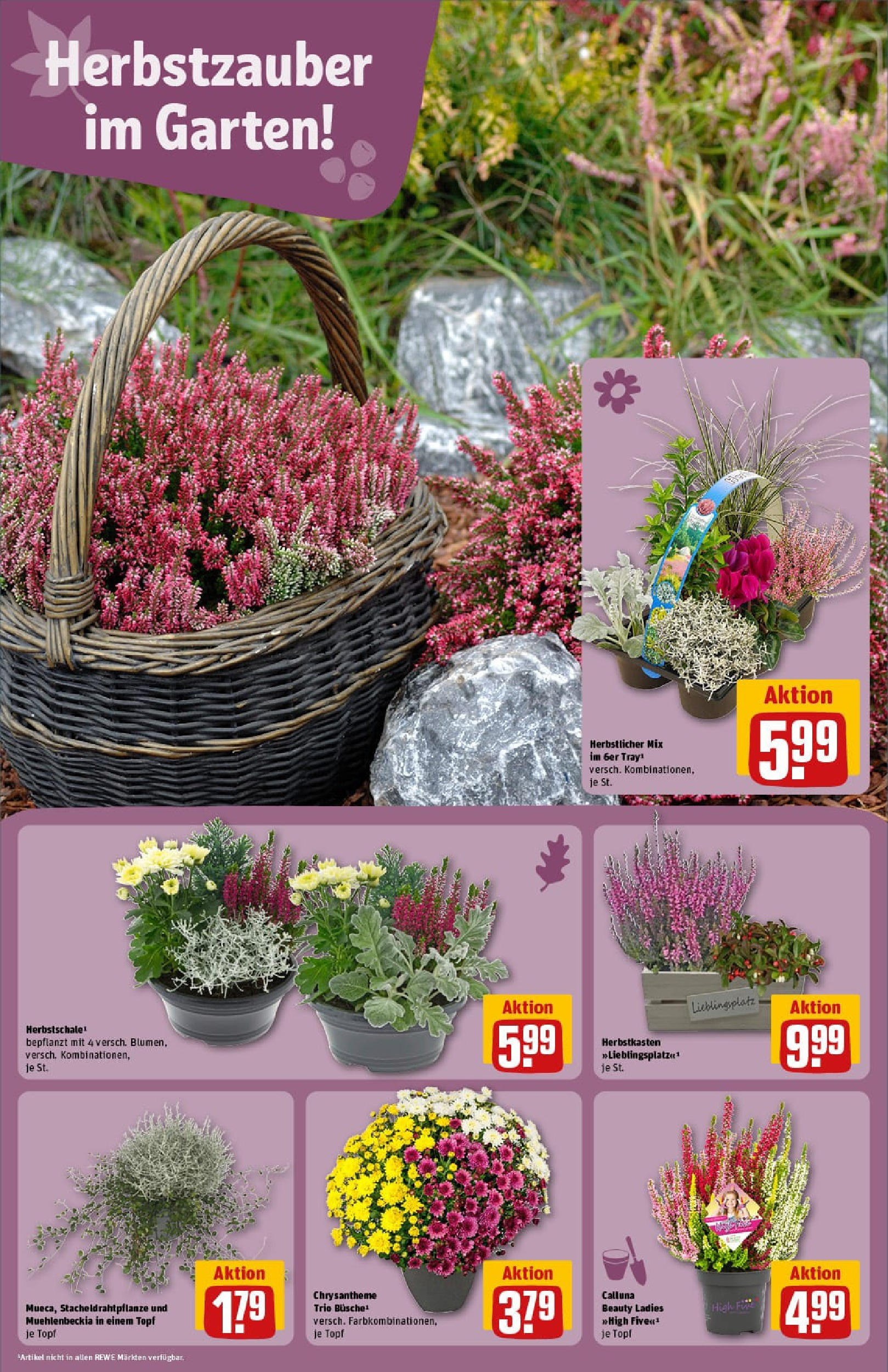 REWE Prospekt ab 14.09.2025 zum Blättern » Angebote | Seite: 8 REWE Prospekt ab 14.09.2025 zum Blättern » Angebote | Seite: 8