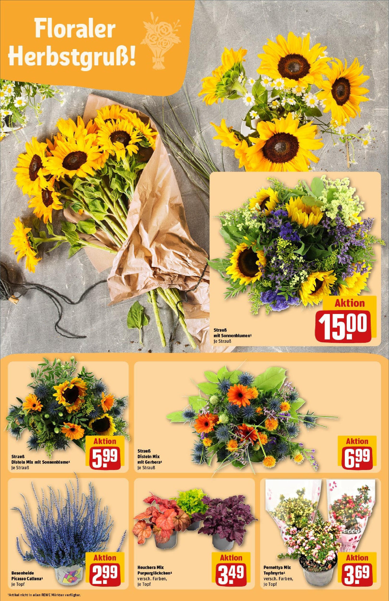 REWE Prospekt ab 14.09.2025 zum Blättern » Angebote | Seite: 9 REWE Prospekt ab 14.09.2025 zum Blättern » Angebote | Seite: 9