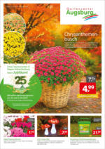 Gartencenter Augsburg: Wochenangebote