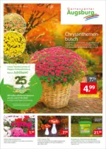 Gartencenter Augsburg Gartencenter Augsburg: Wochenangebote - bis 21.09.2025