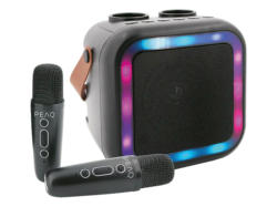 Peaq PKM-100 Karaoke Machine; Bluetooth-Lautsprecher