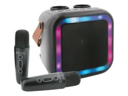 Peaq PKM-100 Karaoke Machine; Bluetooth-Lautsprecher