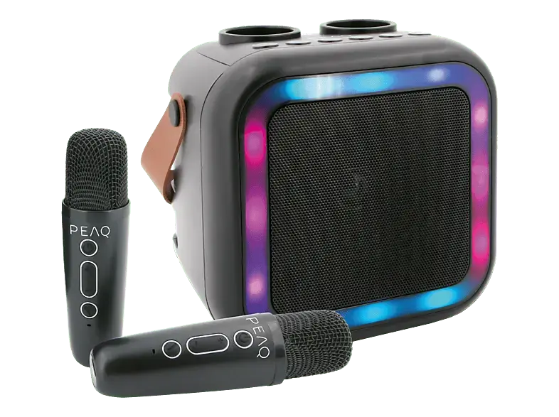 Peaq PKM-100 Karaoke Machine; Bluetooth-Lautsprecher