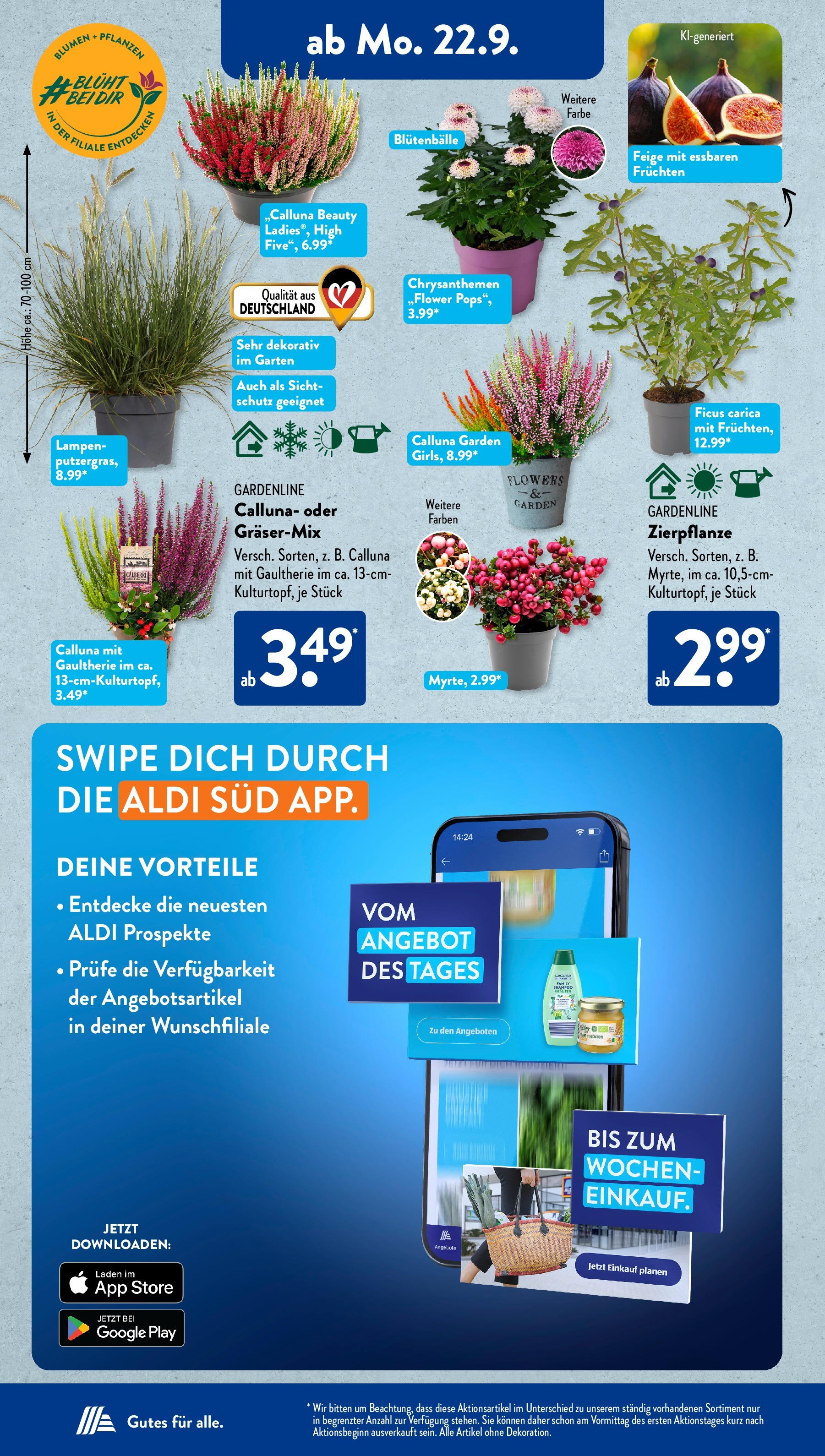 Aldi Süd - Aldi Süd: Wochenangebote (ab 21.09.2025) zum Blättern | Seite: 16 | Produkte: Blumen Aldi Süd - Aldi Süd: Wochenangebote (ab 21.09.2025) zum Blättern | Seite: 16 | Produkte: Blumen