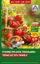 Truskawki w ALDI Aldi – do 20.09.2025