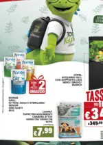 Zoomiguana Tassso 0% - al 05.10.2025