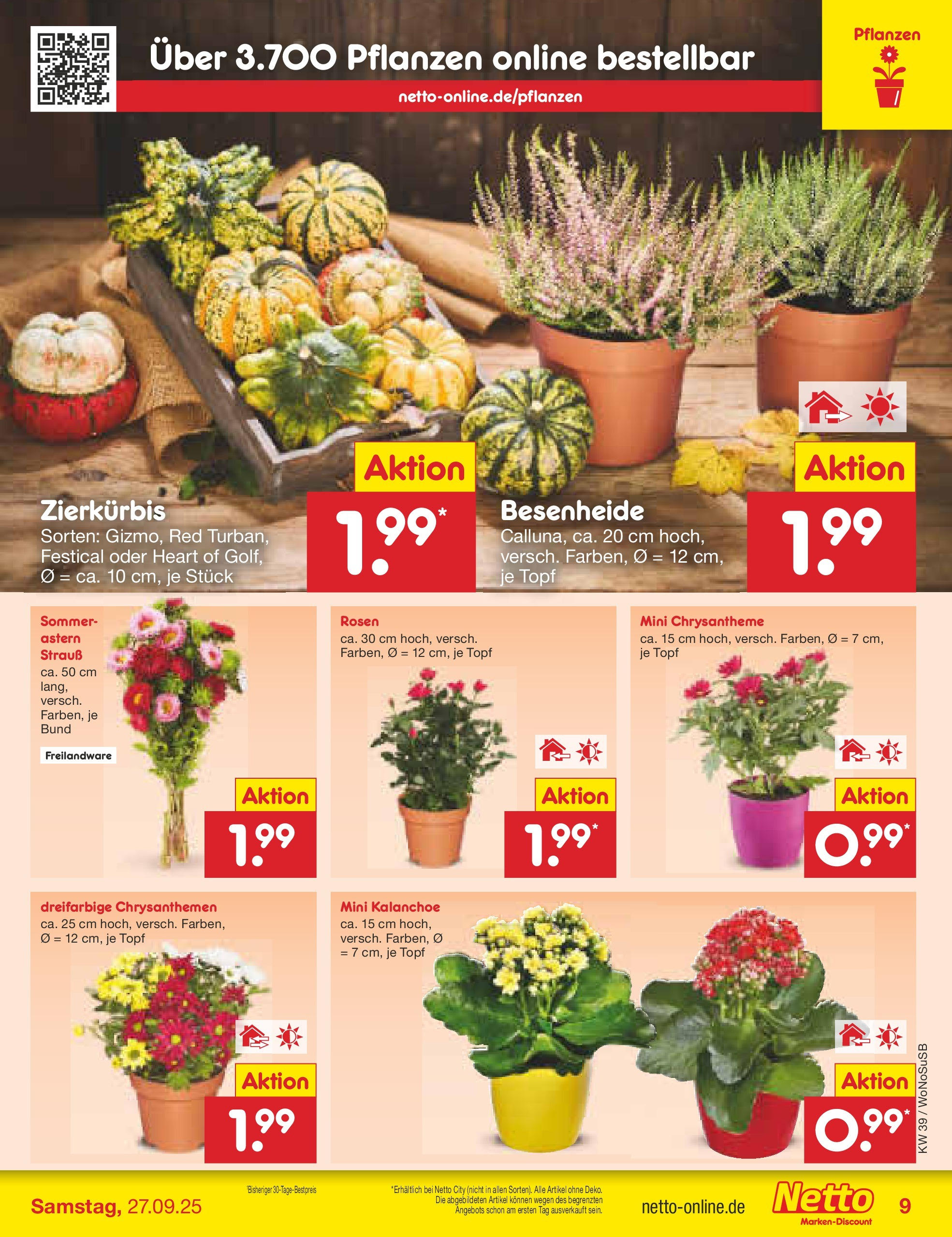 Netto Marken-Discount prospekt Rodgau	 (ab 21.09.2025) » Angebote | Seite: 9