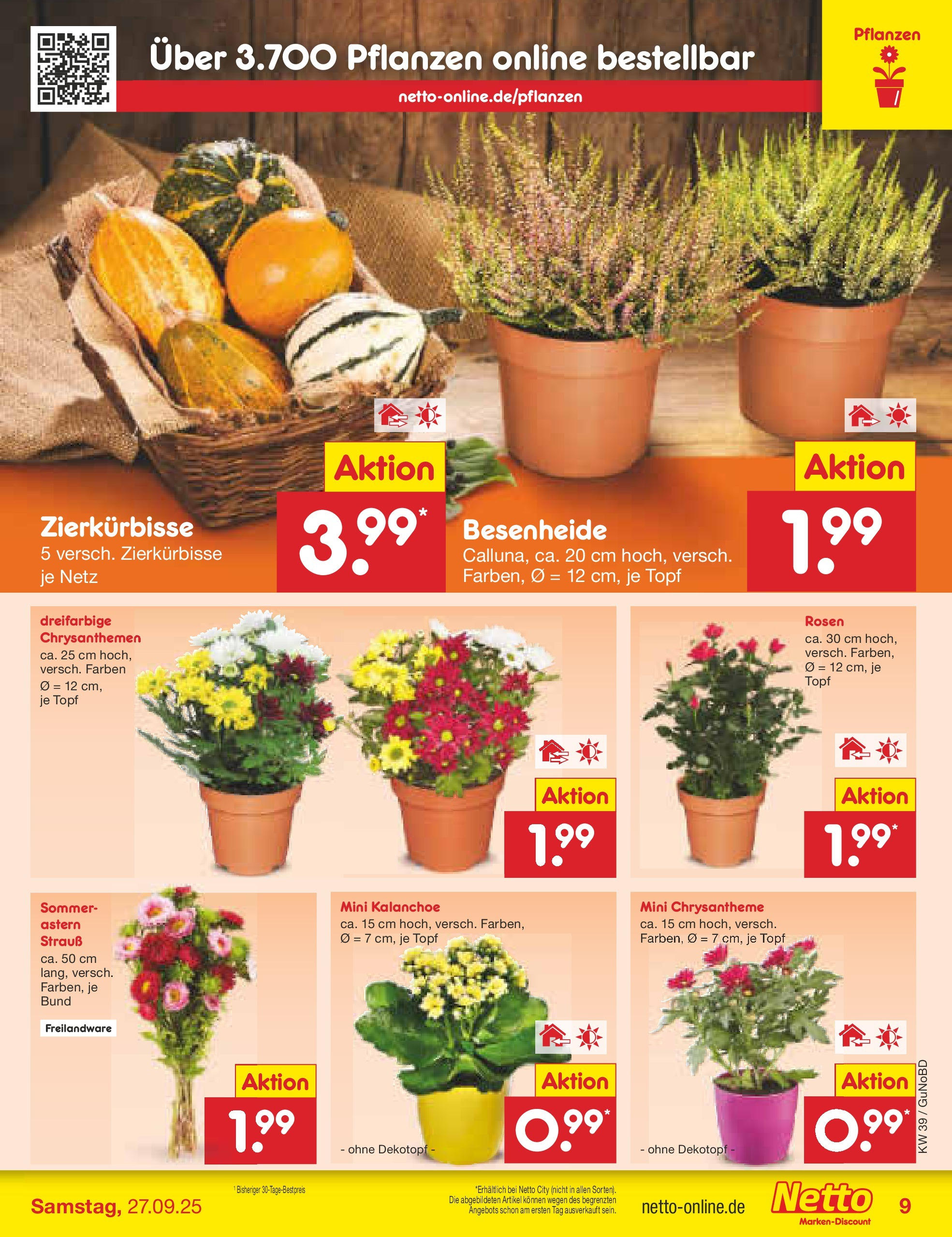 Netto Marken-Discount prospekt Augustusburg (ab 21.09.2025) » Angebote | Seite: 9 Netto Marken-Discount prospekt Augustusburg (ab 21.09.2025) » Angebote | Seite: 9