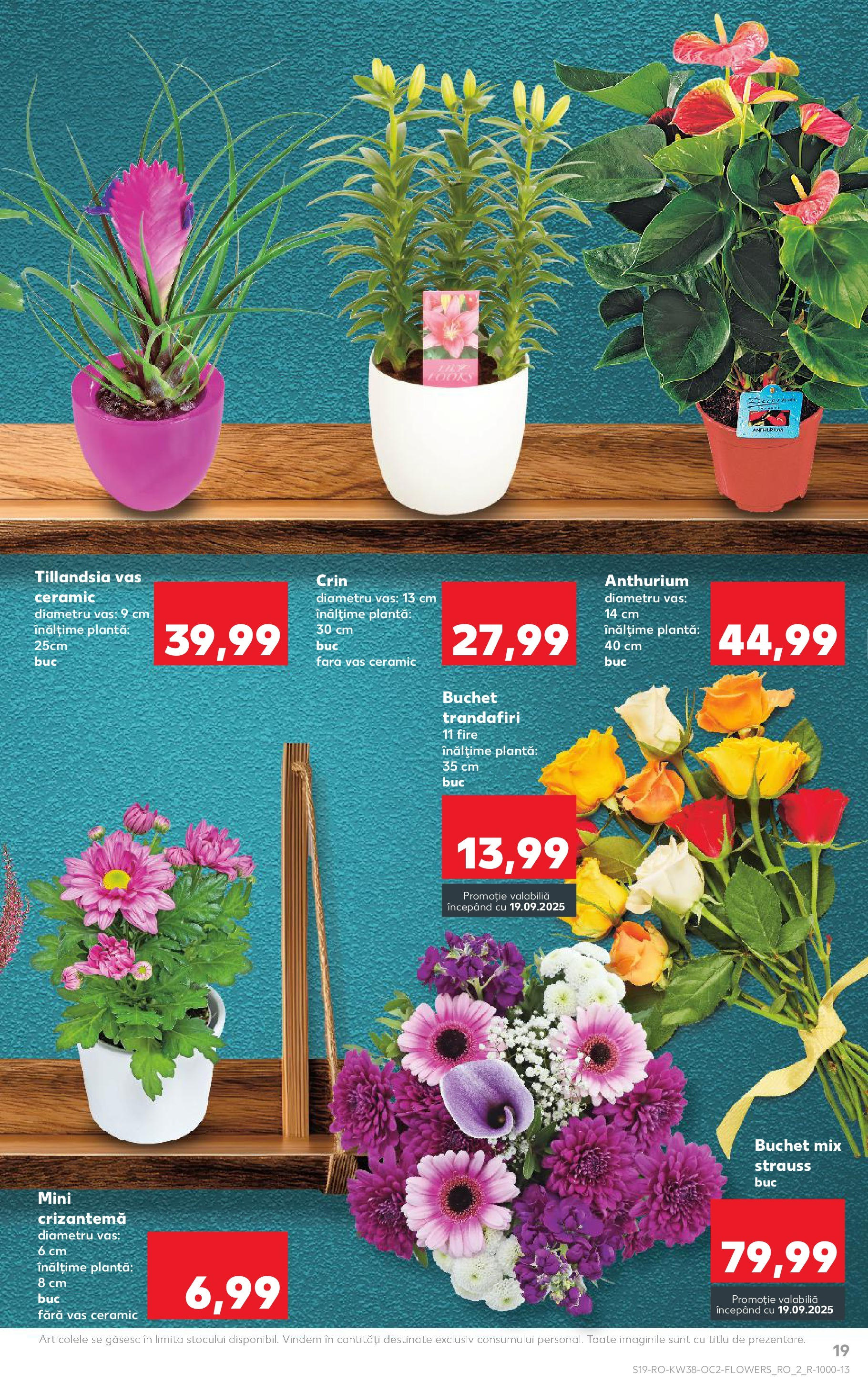 Catalog Kaufland - Deva 17.09.2025 - Revista si Oferta | Pagină: 19