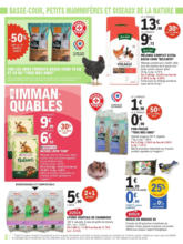 Trafic Animalerie 8