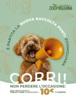 Zoomiguana Offerte esclusive e affari - al 30.09.2025