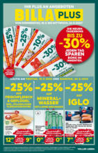 BILLA PLUS: Flugblatt Steiermark