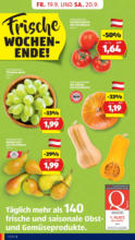 HOFER HOFER: Flugblatt - ab 19.09.2025