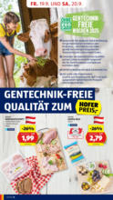 HOFER HOFER: Flugblatt - ab 19.09.2025