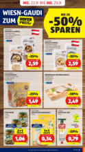 HOFER HOFER: Flugblatt - ab 19.09.2025