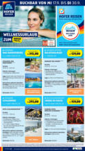 HOFER HOFER: Flugblatt - ab 19.09.2025